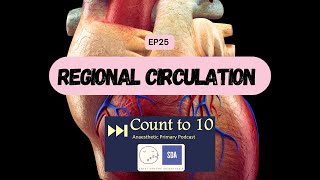 EP25 – Regional Circulation  Anaesthetic Primary Topic  Cardiac Physiology  CT10 [upl. by Inajar120]