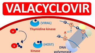 Valacyclovir Tablets VALTREX for herpes infections [upl. by Anaz138]