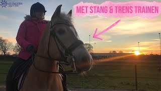 RIJDEN MET STANG amp TRENS  Haflingers King amp Beau [upl. by Eelanna]