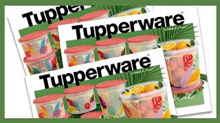 Vitrine 012024 Completa Tupperware ♡ Rute Alves [upl. by Sikes]