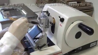 Microtome Safety [upl. by Keeryt313]