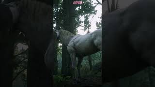 Get RARE Perlino Andalusian Horse Location  RDR2 shorts rdr2 rockstargames [upl. by Imeka877]