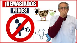 Cómo ELIMINAR las FLATULENCIAS PEDOS ✅ ¡FUNCIONA COMPROBADO [upl. by Fabio]