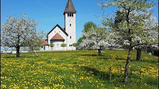 Livestream von Katholische Pfarrei Wetzikon [upl. by Yellah806]