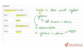 Kinetin is chemically� [upl. by Ricardama]