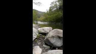 RIVIERAFISHING  Pesca Spinning Trota quotTorrente Argentinaquot Molini di TrioraIm [upl. by Eittod]