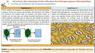 1bseU2ch2 ep 9b mécanisme d douverture et de fermeture des stomate الية انفتاح و انغلاق الثغور [upl. by Oznecniv]