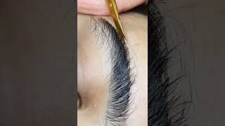 eyebrow asmr asmr eyebrows eyebrow eyebrowtutorial browlamination brows sobrancelhasperfeitas [upl. by Tiraj]