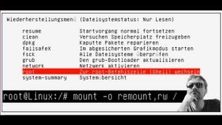 Ubuntu  Wiederherstellungsmodus schreibgeschützt [upl. by Nessaj]