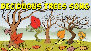 Deciduous Trees Song [upl. by Carole]