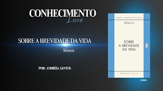 Resumo do livro  Brevidade da vida  Sêneca [upl. by Nomelihp]