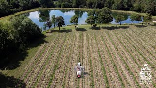 FRIULI Drift Recovery Sprayer Whiteshark Vineyard [upl. by Bianca300]