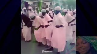 🏳✋Coucou les musulman moi je mange ladu glaçehalouf✋🏳remix [upl. by Chesnut]