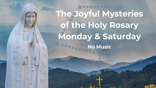 Virtual Rosary Saturday  Joyful Mysteries  Rosary Saturday  Follow Along Rosary  No Music [upl. by Warfore]