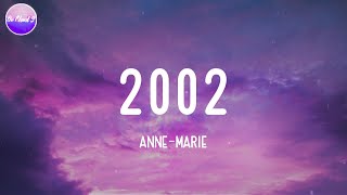 AnneMarie  2002 Lyric Video [upl. by Merkley482]