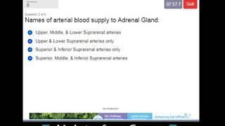 Adrenal Gland Vasculature  Multiple Choice Quiz [upl. by Anaeirb]