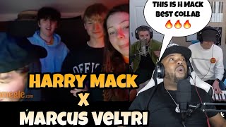 I Need A Album From H MACK amp VELTRI quotHarry MACK x Marcus Veltri quot Omegle Bars 32 REACTION [upl. by Slavin]