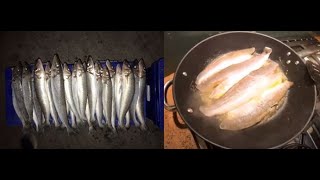 WHITING CATCHCLEANCOOKFISHING YORKE PENINSULA SOUTH AUSTRALIA [upl. by Oilime153]