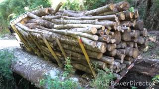 Camiones forestales quotvideos variosquot [upl. by Saree]