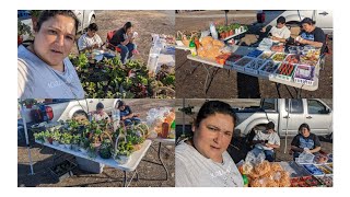 Nos fuimos a vender plantas churros y dulces [upl. by Ettezyl]