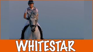 WHITESTAR  TO THE STARS Kimberly Fransens  PaardenpraatTV [upl. by Baerman]