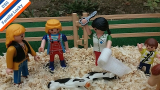 Playmobil Pferde Reiterhof Fohlen Lisa und das blutende Pony Bauernhof Traktor mit Anhänger [upl. by Monjo]