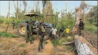 Forçatarefa luta para acabar com o desmatamento na Amazônia [upl. by Sine]