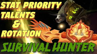 TBC Survival Hunter PvE QUICK Guide  Stat Priority Talents and Single Target DPS Rotation [upl. by Alfie328]