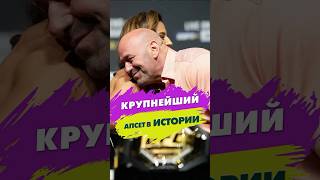 Мгновенный контракт с UFC 🔝 shorts [upl. by Baiss388]