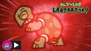 Dexters Laboratory  Techno Turtle  Cartoon Network [upl. by Brest]