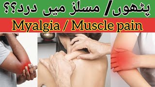 What is Myalgia muscle pain  causes of myalgia symptoms Treatment of Myalgia in HindiUrdu [upl. by Elleryt923]