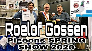 Roelof Gossen  Pigeons SPRING SHOW 2020 EXPO Houten  Rewarding 2nd Final Race OLR Derby Brod [upl. by Buonomo]