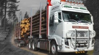 Timber truck loading  Sweden [upl. by Drape519]