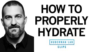 How to Properly Hydrate amp How Much Water to Drink Each Day  Dr Andrew Huberman [upl. by Yhtomit]