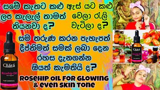 කළු ලප ඉවත් කරන සම තරුණ කරන Rosehip Seed Oil  Benefits And Beauty Hacks With Rosehip Seed Oil [upl. by Acimahs]