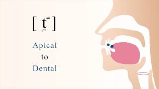 t̪⁼  unvoiced unaspirated apical dental stop [upl. by Norvell]