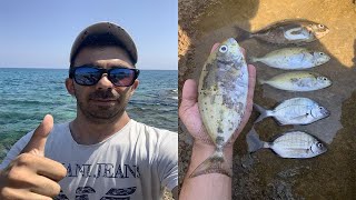 25072021 KIBRIS SOKAN SOKAR AVI SIGANUS RIVULATUS κουρκούνες FISHING IN CYPRUS [upl. by Yrffej]