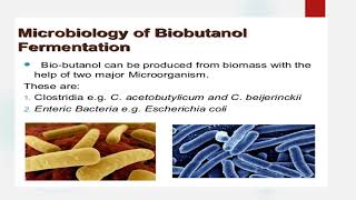 Butanol production part 1 [upl. by Ycniuq]