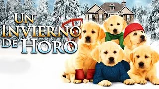 UN INVIERNO DE ORO  FAMILIA  PELICULAS COMPLETAS EN ESPANOL LATINO [upl. by Keiryt]