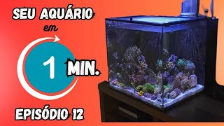 Seu aquário em um minuto Neste 12 episódio vamos conhecer o aquário marinho do Tandi [upl. by Enriqueta]