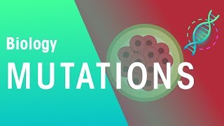 Mutations  Genetics  Biology  FuseSchool [upl. by Ailices]