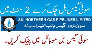 how to check gas bill online in pakistan  How to Check Your Sui northern Gas Sngpl  sngpl bill [upl. by Buzzell]