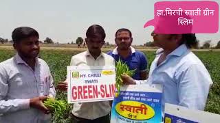 Swati seeds हामिरची स्वाती ग्रीन स्लिम Mo 94267 01432 94260 67260 [upl. by Aetnuahs]