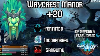 Dragonflight Season 3  Waycrest Manor M20  Feral Druid PoV [upl. by Nyleak653]