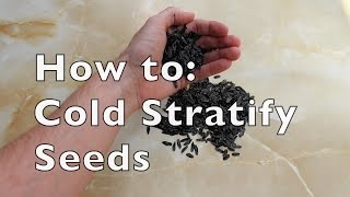 Germination Tips Cold Stratification of Seeds [upl. by Ladonna]