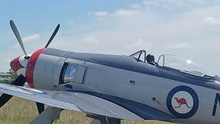 Hawker Sea Fury to be at Airshows Downunder [upl. by Galvan219]