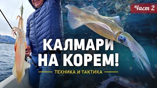 КАЛМАРИ на корем  Как да ловим хитрите мекотели Техника и тактика  2 част [upl. by Joel44]