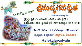 BG 1421 Learn Bhagavad gita Chapter 14 Shloka 21 Bhagavadgita Bhagavadgeetha Bhagavadgeeta [upl. by Sissel]