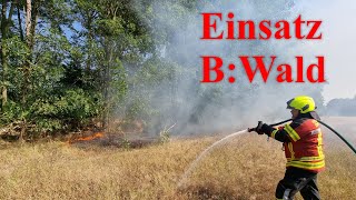 E Entstehungsbrand  150 m² Waldboden in Brand [upl. by Nnaes17]