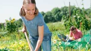 Garten Basics  Gärtnern für Anfänger  GU Gartenratgeber [upl. by Tnomal782]